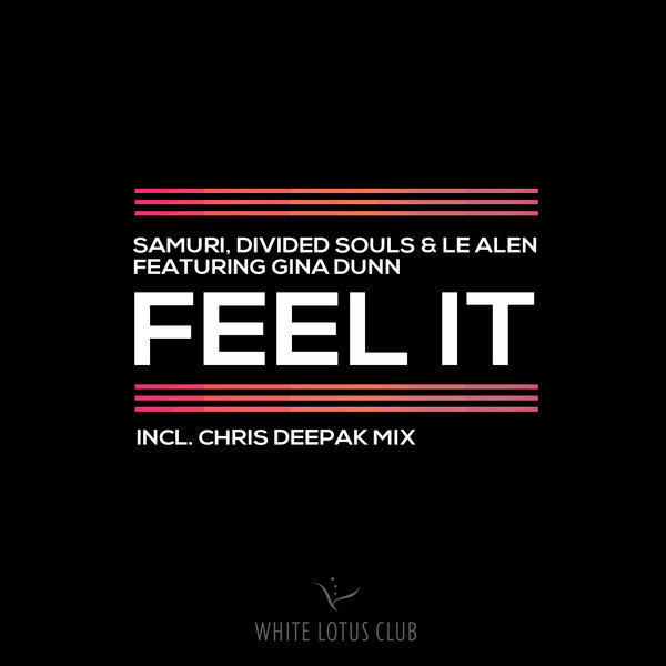 Samuri Divided Souls Le Alen Gina Dunn - Feel It Mixes