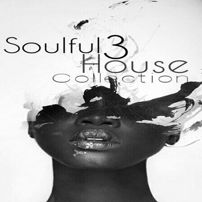 VA - Soulful House Collection Vol. 3