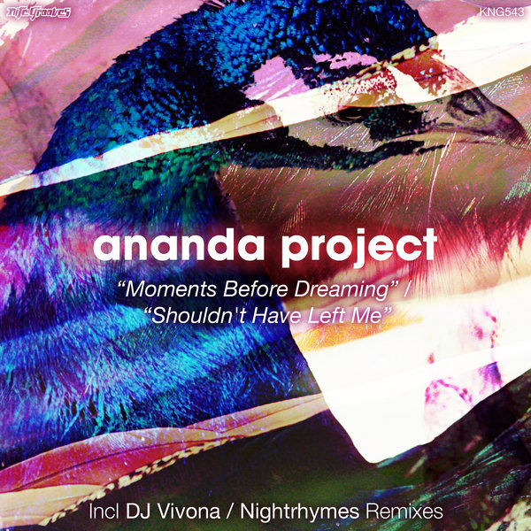Ananda Project - Moment Before Dreaming - Shouldn't Have Left Me