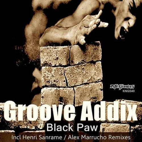 00-Groove Addix-Black Paw-2014-