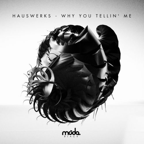 00-Hauswerks-Why You Tellin' Me-2014-