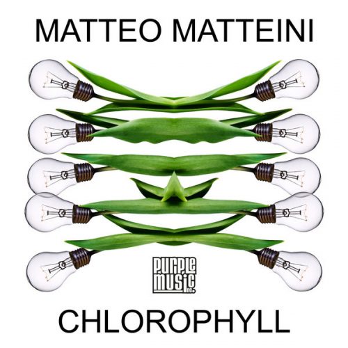 00-Matteo Matteini-Chlorophyll-2014-