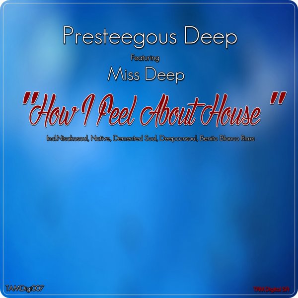 Presteegeous Deep feat. Miss Deep - How I Feel About House
