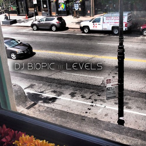DJ Biopic - Levels