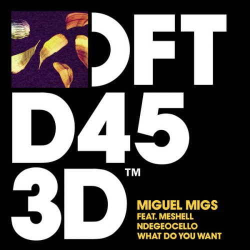 00-Miguel Migs Ft Meshell Ndegeocello-What Do You Want-2015-