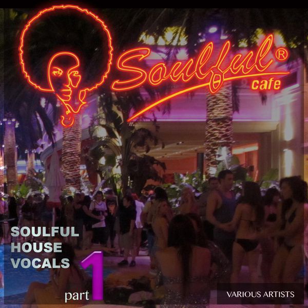 VA - Soulful House Vocals Pt. 1