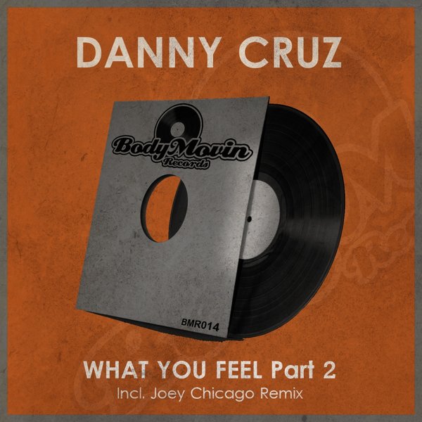 Danny Cruz - What You Feel Pt. 2