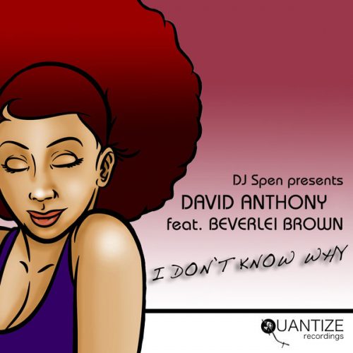 00-David Anthony feat. Beverlei Brown-I Don't Know-2015-