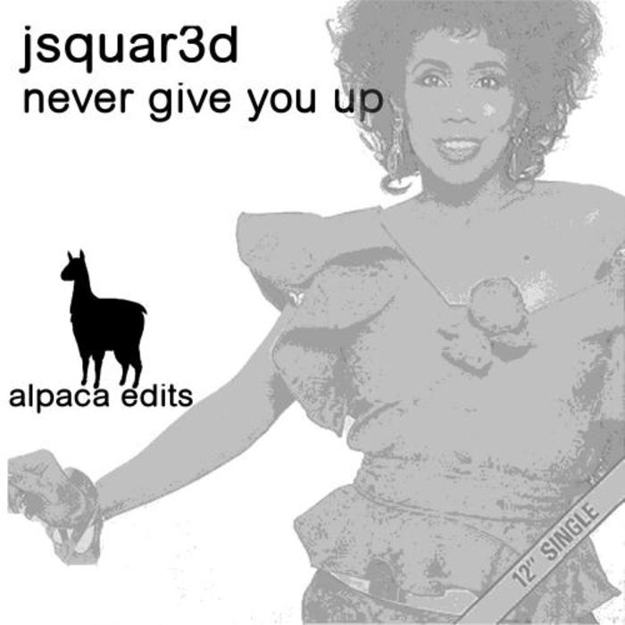 Jsquared - Never Give You Up