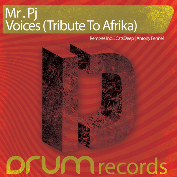 Mr. Pj - Voices (Tribute To Afrika)