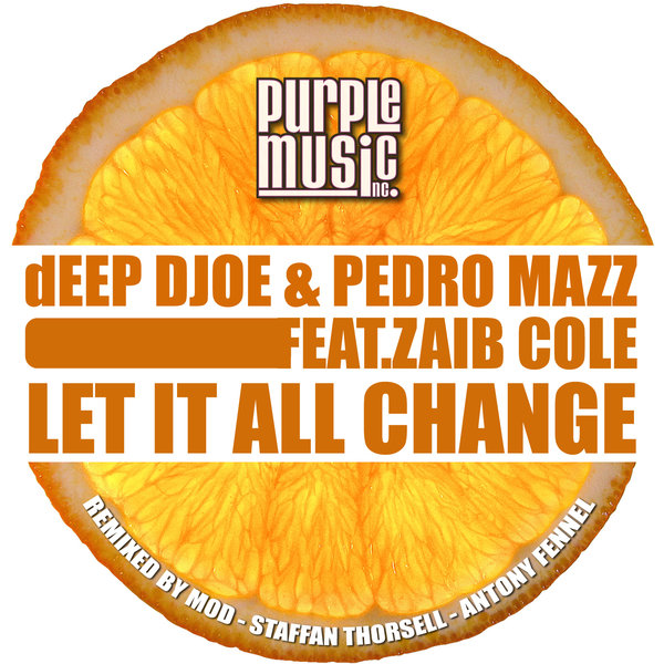 DEEP Djoe & Pedro Mazz Ft Zaib Cole - Let It All Change