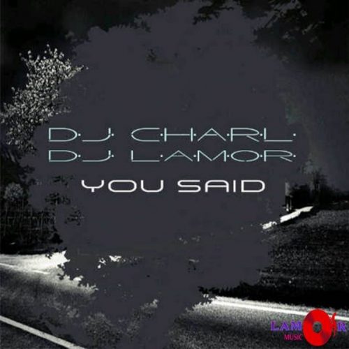 00-DJ Charl & DJ Lamor-You Said-2015-