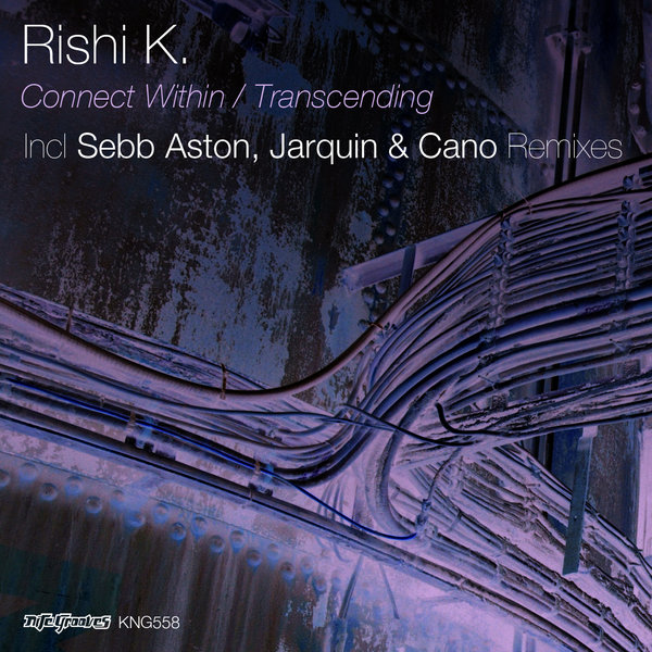 Rishi K. - Connect Within - Transcending