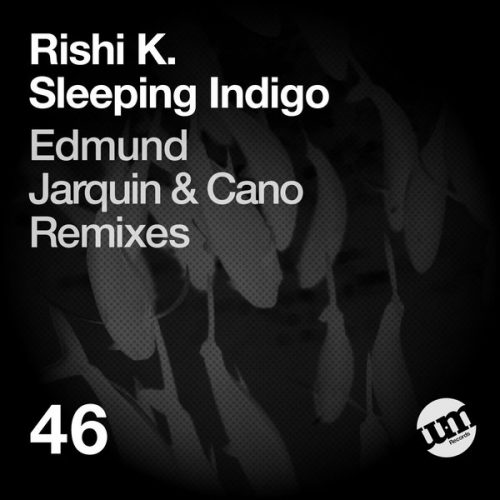 00-Rishi K.-Sleeping Indigo-2015-