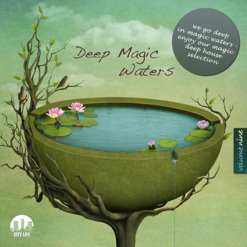 VA - Deep Magic Waters Vol. 9