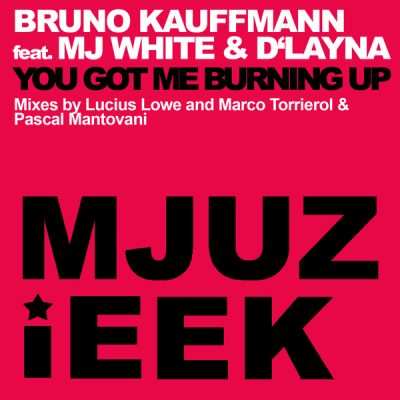 00-Bruno Kauffmann Ft MJ White & D'layna-You Got Me Burning Up-2015-