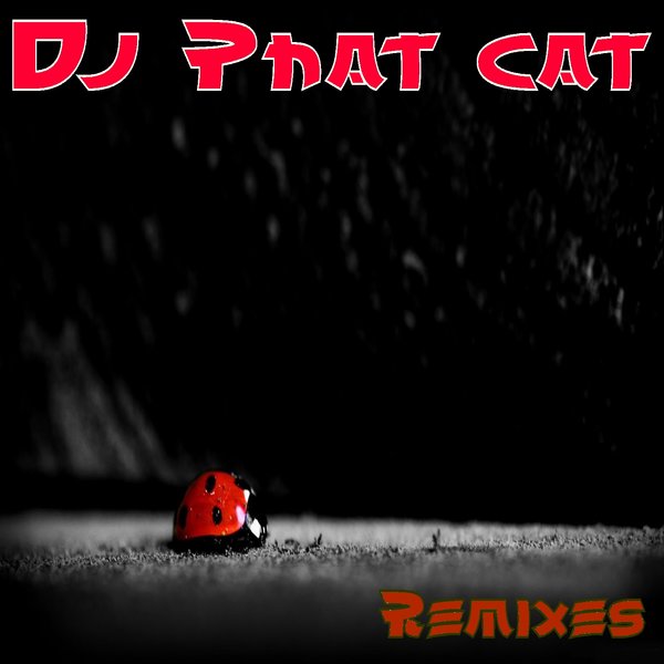 DJ Phat Cat - Remixes
