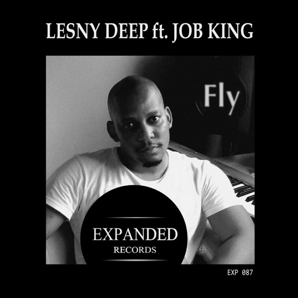 Lesny Deep Ft Job King - Fly