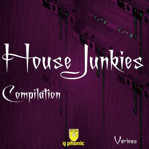 VA - House Junkies