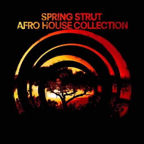 VA - Spring Strut Afro House Collection