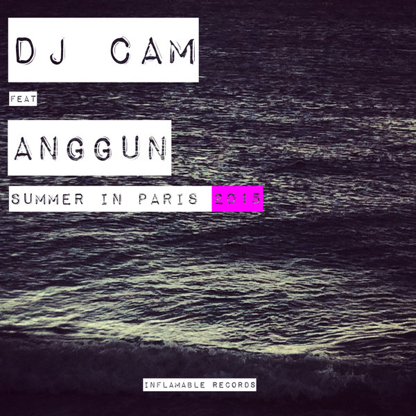 DJ Cam - Summer In Paris 2015