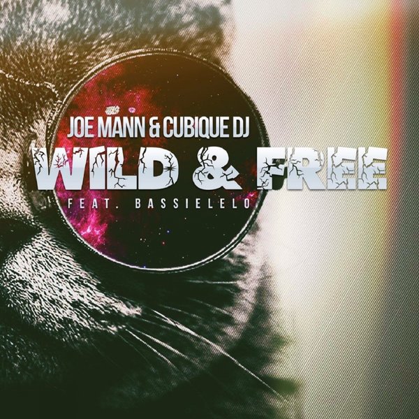 00-Joe Mann & Cubique DJ Ft Bassielelo-Wild & Free-2015-