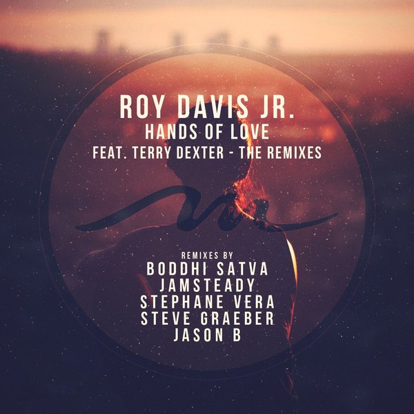 Roy Davis Jr. Ft Terry Dexter - Hands Of Love