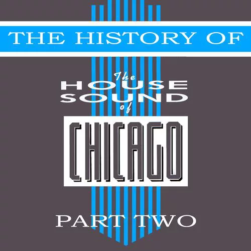 VA - The History Of House Sound Of Chicago - Part 2
