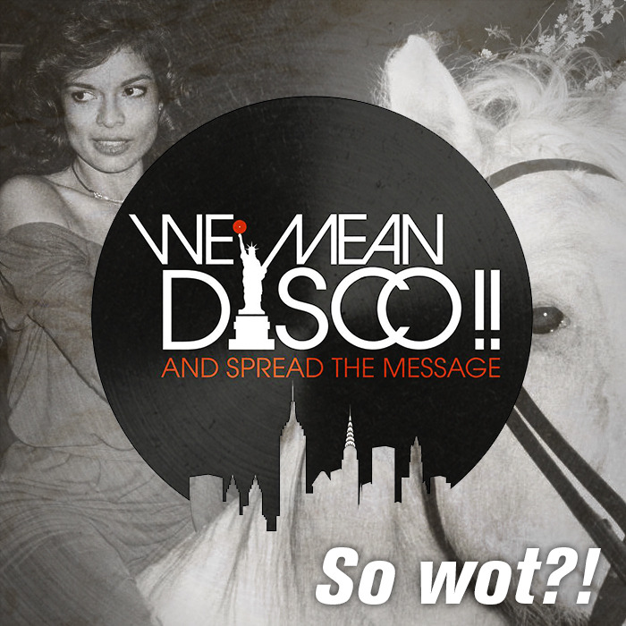 We Mean Disco!! - So Wot!