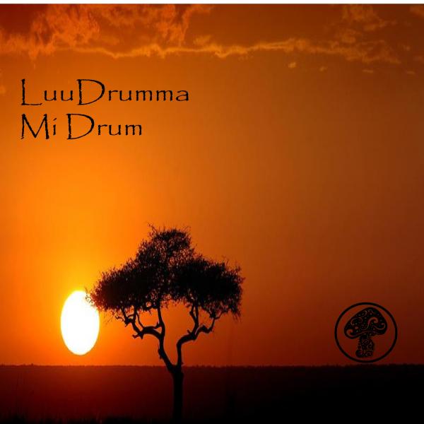 00-Luudrumma-Mi Drum-2015-