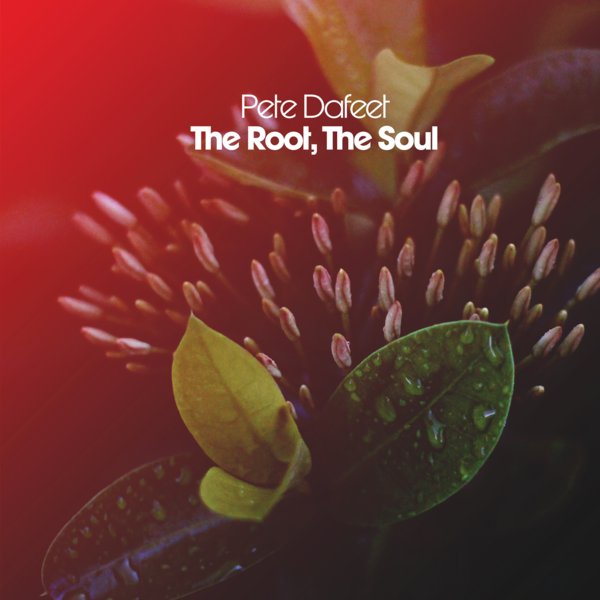 Pete Dafeet - The Root The Soul