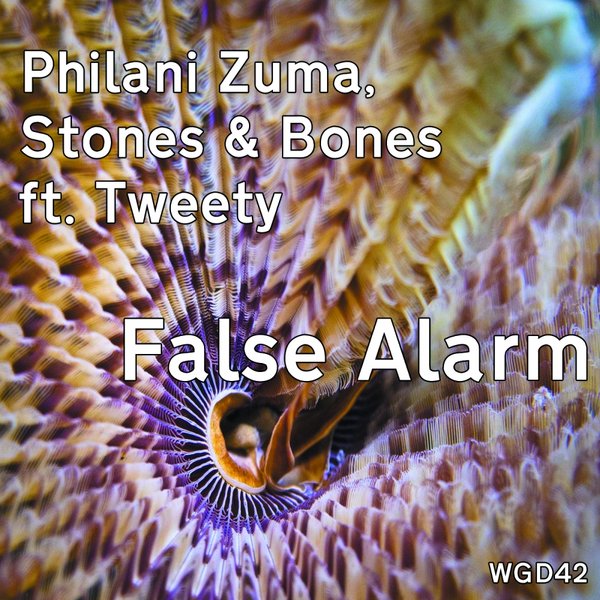 Philani Zuma Stones & Bones Ft Tweety - False Alarm