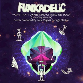 Funkadelic - Ain't That Funkin Kinda Hard On You
