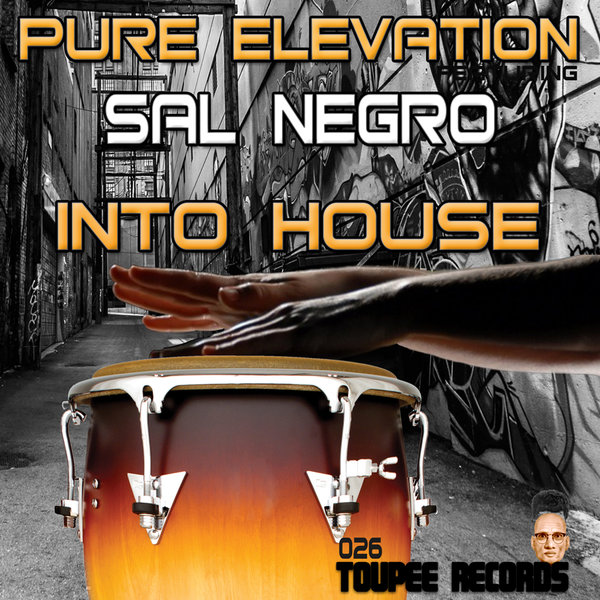 Pure Elevation & Sal Negro - Into House