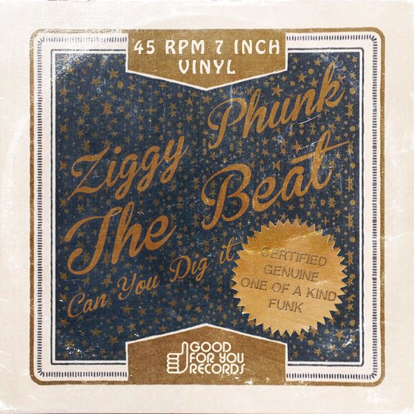 00-Ziggy Phunk-The Beat-2015-
