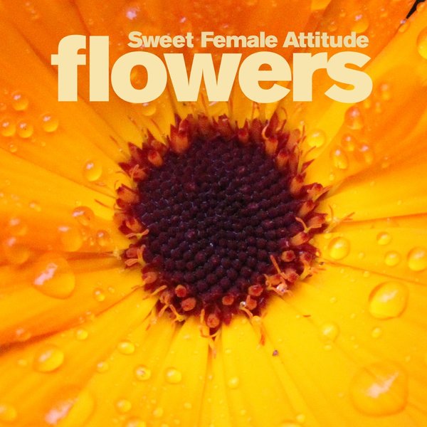00-Sweet Female Attitude-Flowers-2015-