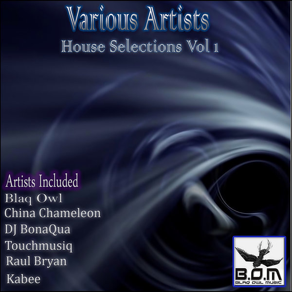 VA - House Selections Vol 1