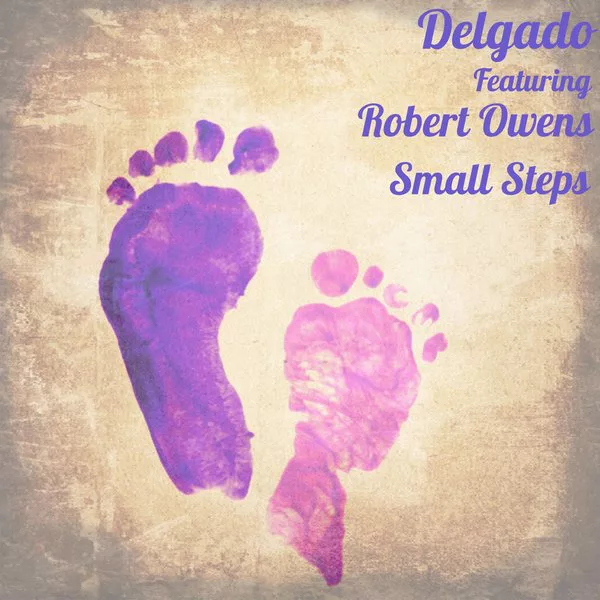 00-Delgado Ft Robert Owens-Small Steps-2015-