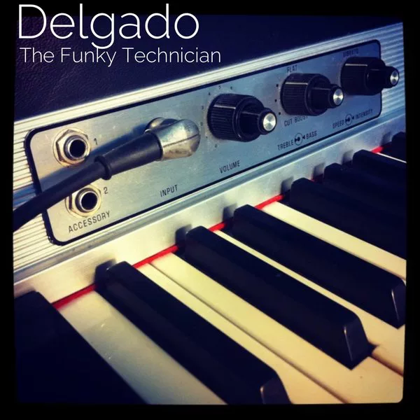 00-Delgado-The Funky Technician-2015-