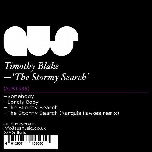 Timothy Blake - The Stormy Search