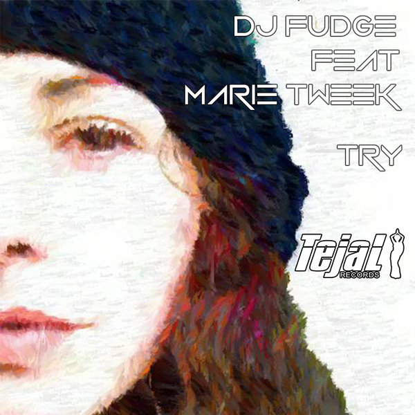 DJ Fudge Ft Marie Tweek - Try