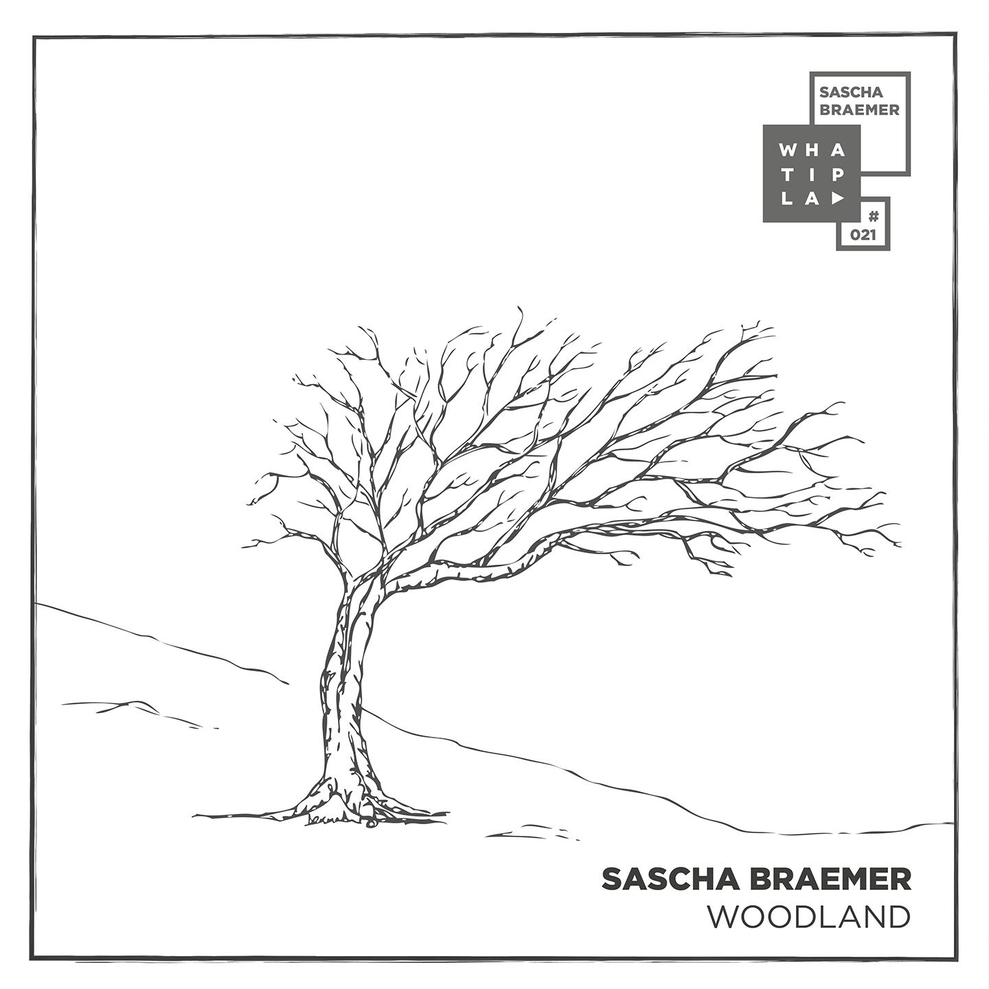 Sascha Braemer - Woodland