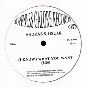 Andras & Oscar - (I Know) What You Want) (DG 11 003)