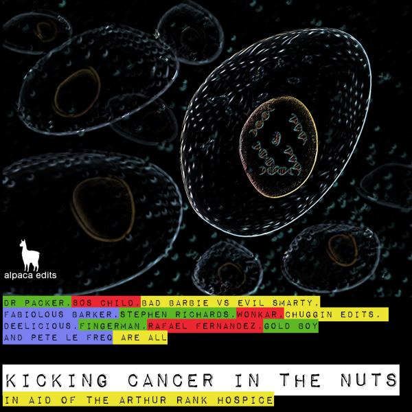 00 VA - Kicking Cancer in the Nuts Cover