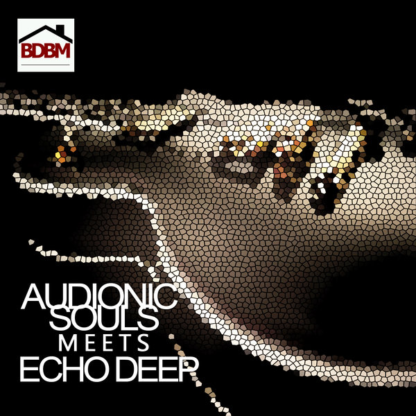 AudionicSouls Meets Echo Deep Cover
