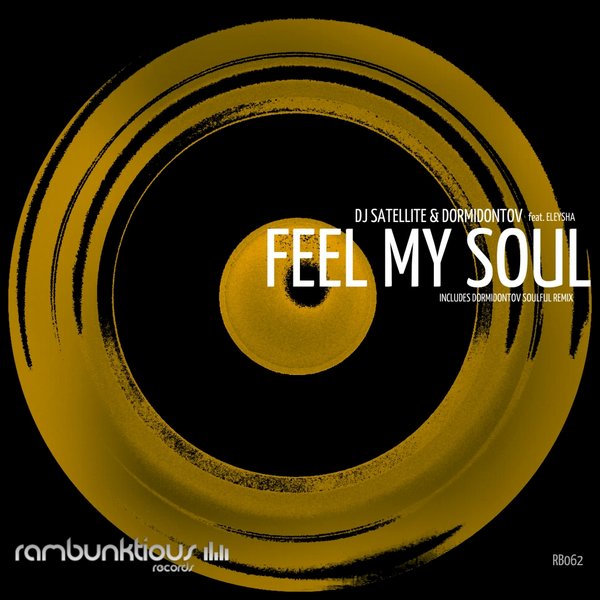 DJ Satellite, Dormidontov, Eleysha - Feel My Soul Cover