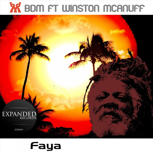 00 BDM, Winston McAnuff - Faya Cover