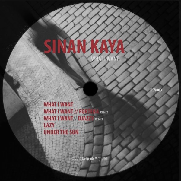 Sinan Kaya - What I Want (DSV003)