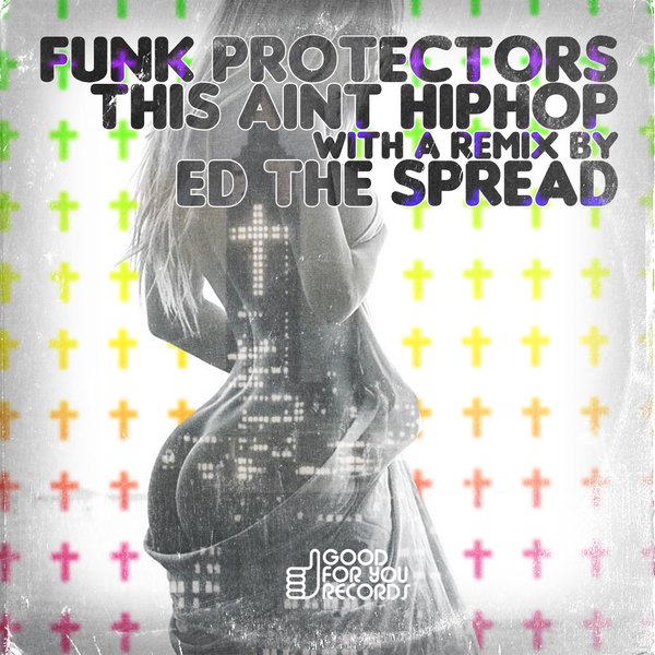 00 Funk Protectors - This Aint Hiphop Cover