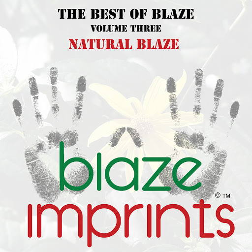 00 The Best of Blaze Vol. 3 (Natural Blaze) Cover